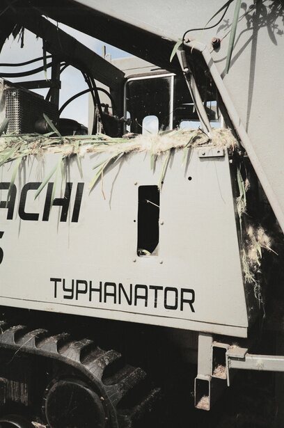 The bulrush harvester, dusted with fibre